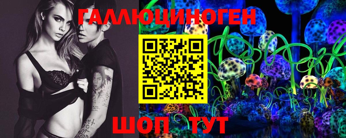 Галлюциногенные грибы Psilocybe Холмск